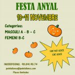Més informació sobre l'article Torneig de Pàdel de Festa Anyal