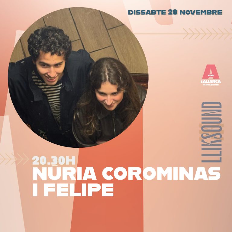 Lliksound novembre: Núria Corominas i Felipe + Noe Ruiz + Towa Band – imatge 2 de 4